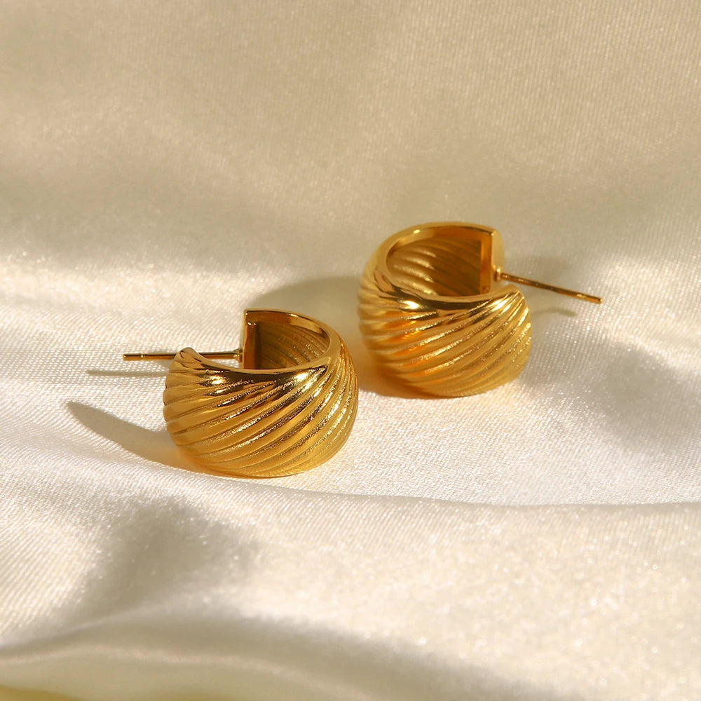Geometric Shaped Earrings