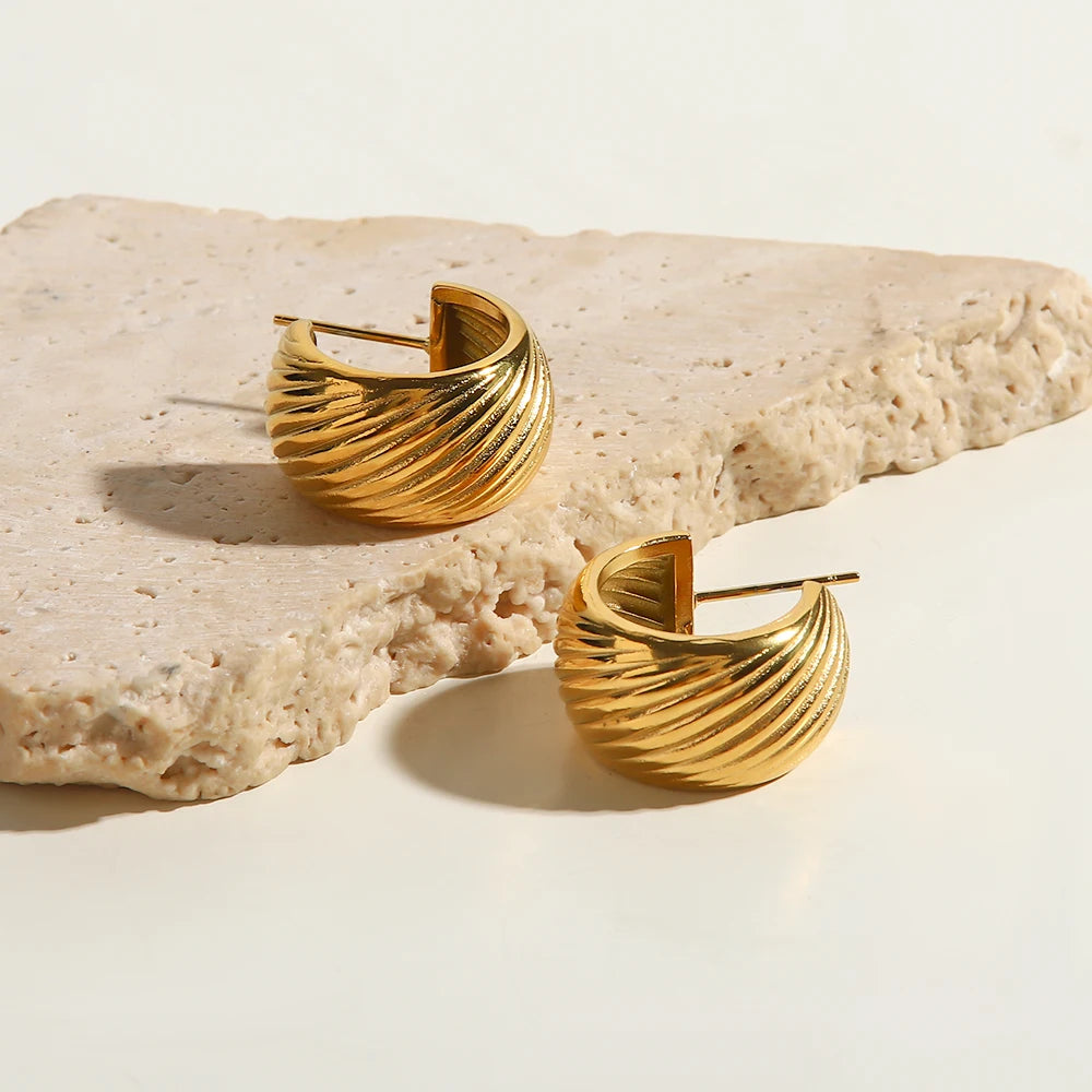 Geometric Shaped Earrings