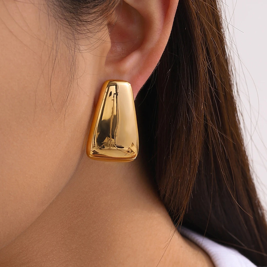 Glossy Smooth Unusual Earrings