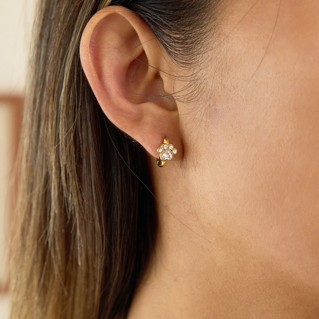Classic Cat Claw Shape Hoop Earrings