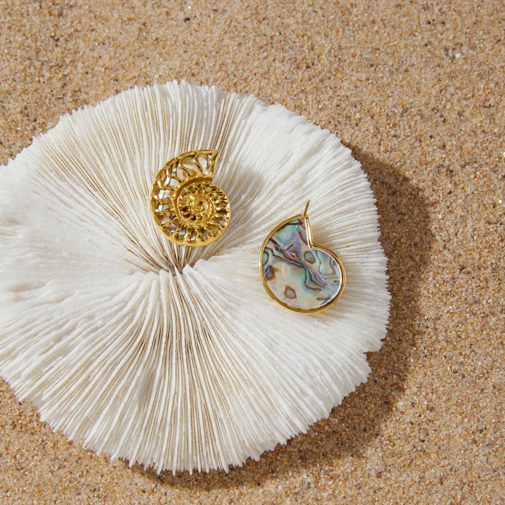 KIKA Artificial Colored Abalone Shell Hollowed Out Conch Stud Earrings Stainless Steel 316L Vacation Beach