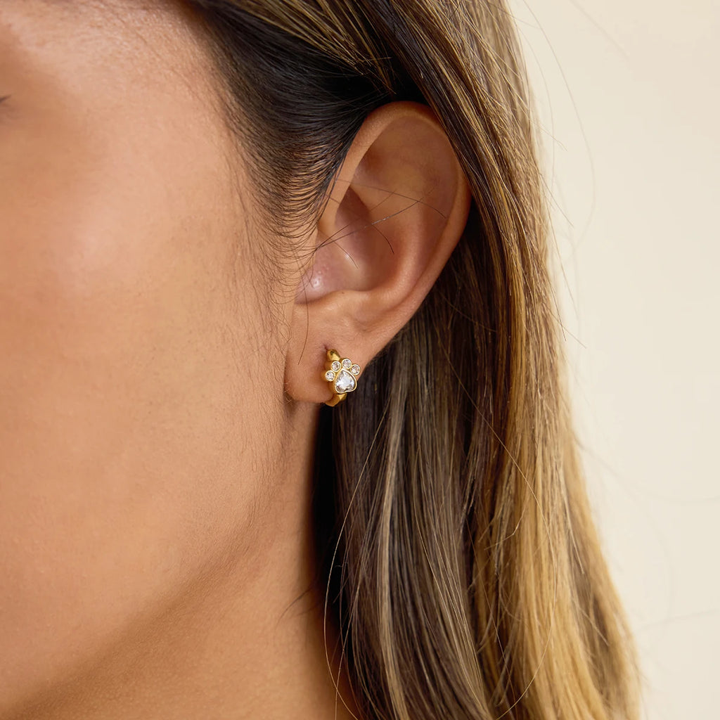 Classic Cat Claw Shape Hoop Earrings