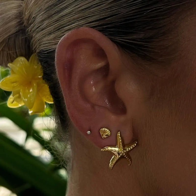 Exquisite 3-Pair Earring Set Shell Starfish Ear Studs Stackable