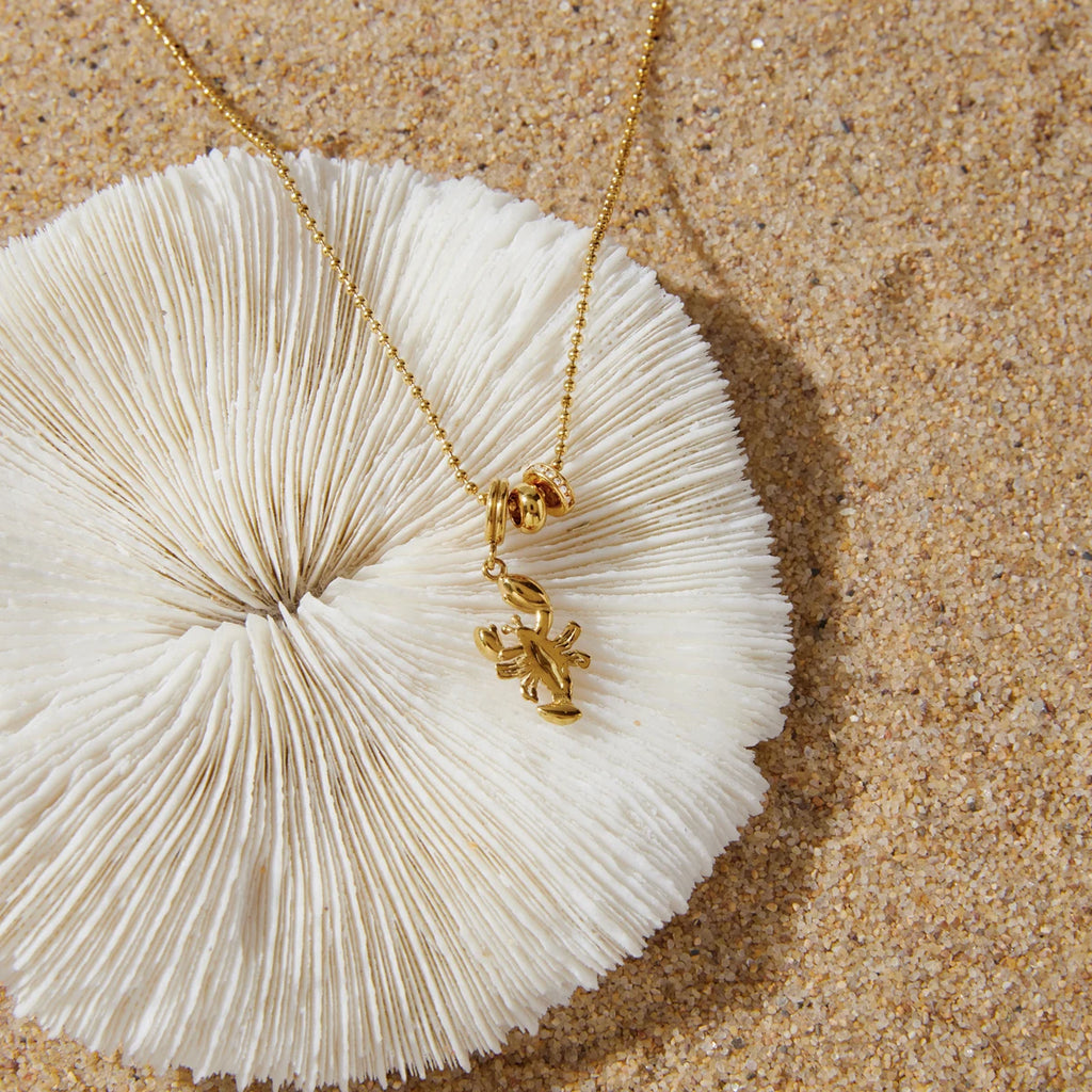 Kika Delicate Lobster Crab White Diamond Ring Bead Chain O-Chain Necklace
