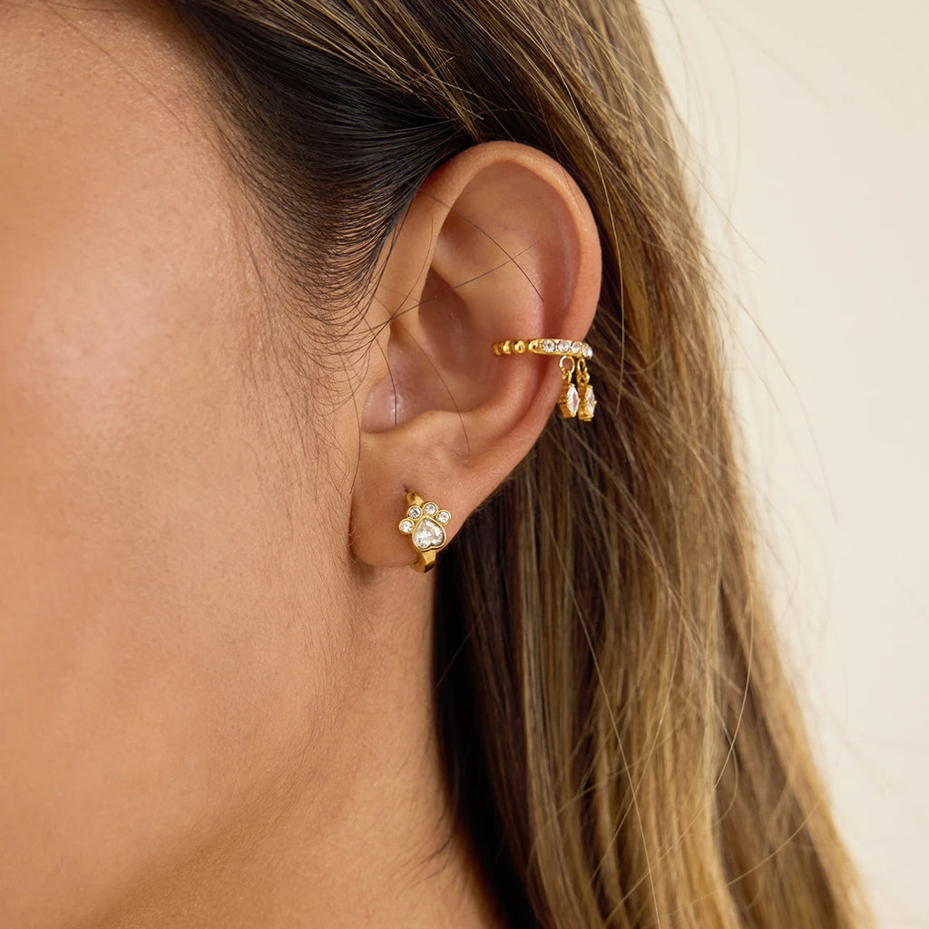 Classic Cat Claw Shape Hoop Earrings
